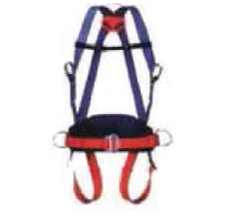 Safety Harness With Lanyard